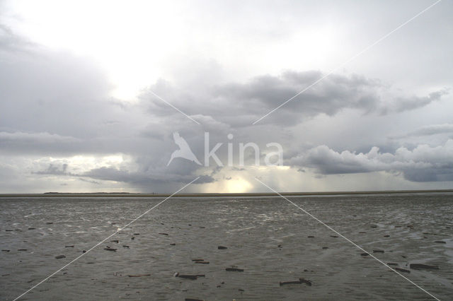Waddensea
