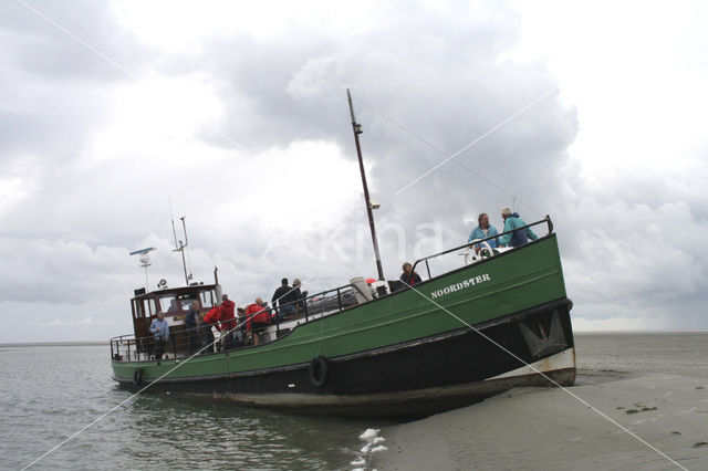 Waddensea