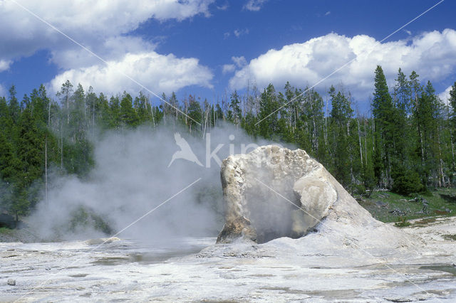 Yellowstone National Park