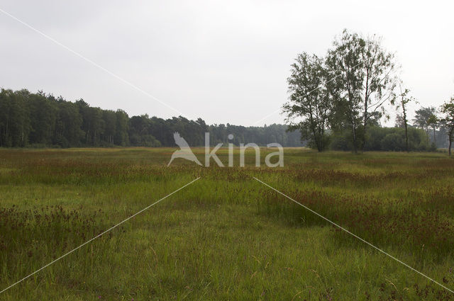 Breklenkampseveld