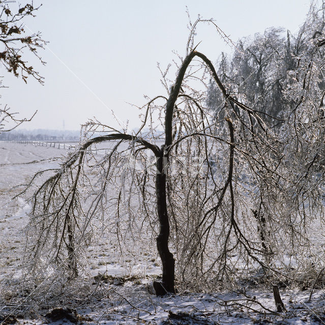 Drenthe