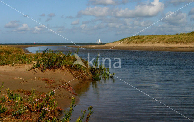 Duinen van Goeree