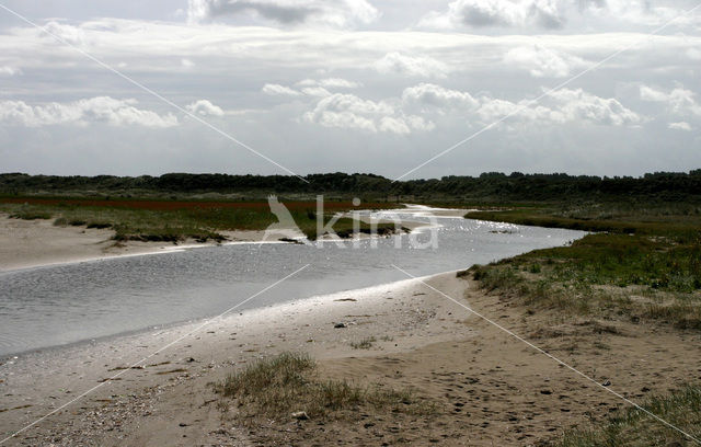 Duinen van Goeree