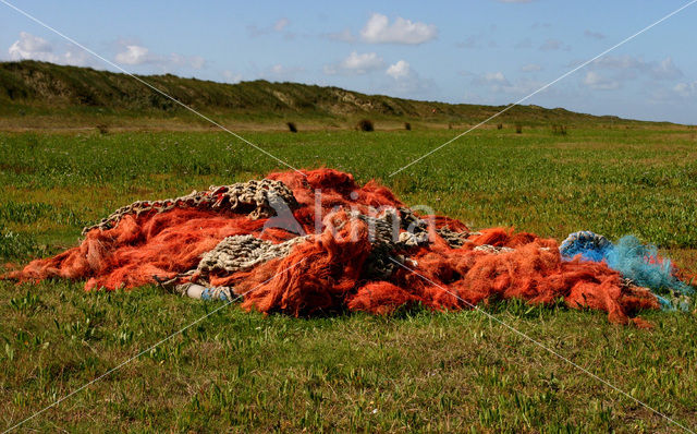 Duinen van Goeree