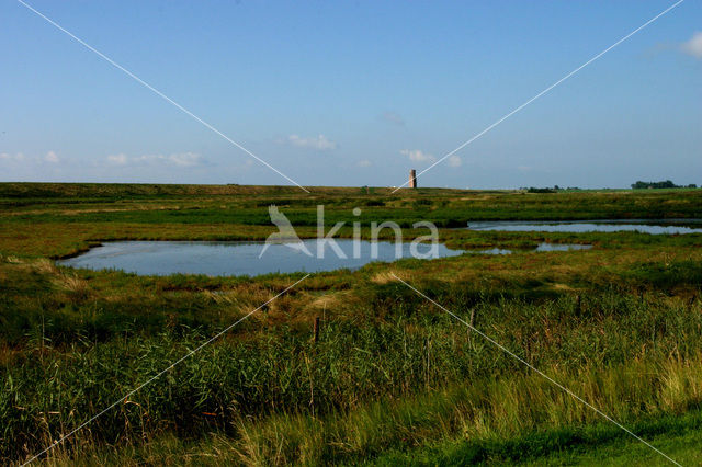 Kekerdommerwaard