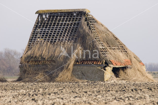 Lage land van Texel