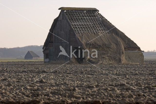 Lage land van Texel