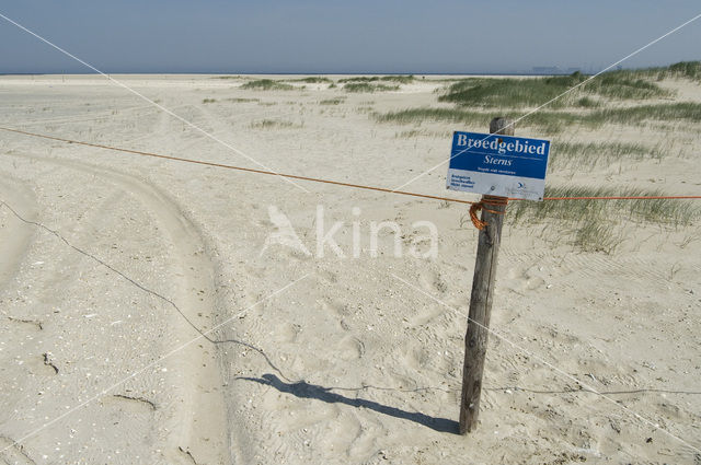 National Park Duinen van Texel