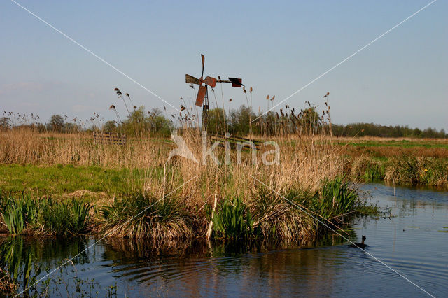 Nieuwkoopse Plassen