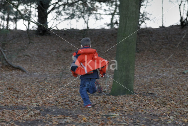 Planken Wambuis