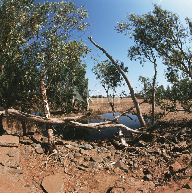 Port Hedland