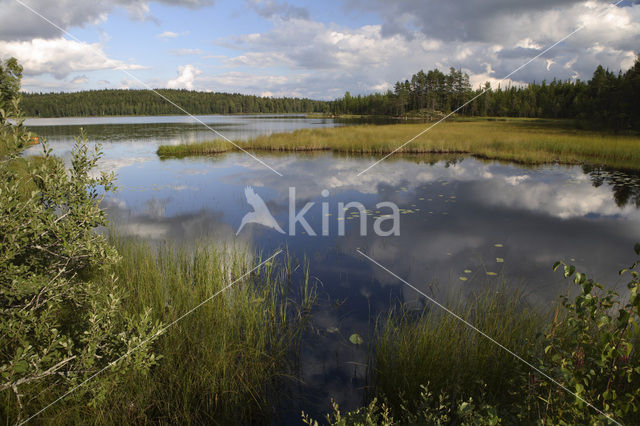 Värmland