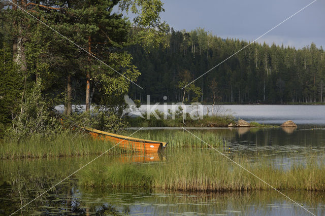 Värmland