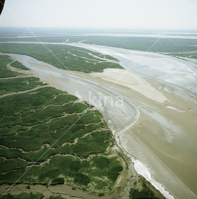 Verdronken Land van Saeftinghe