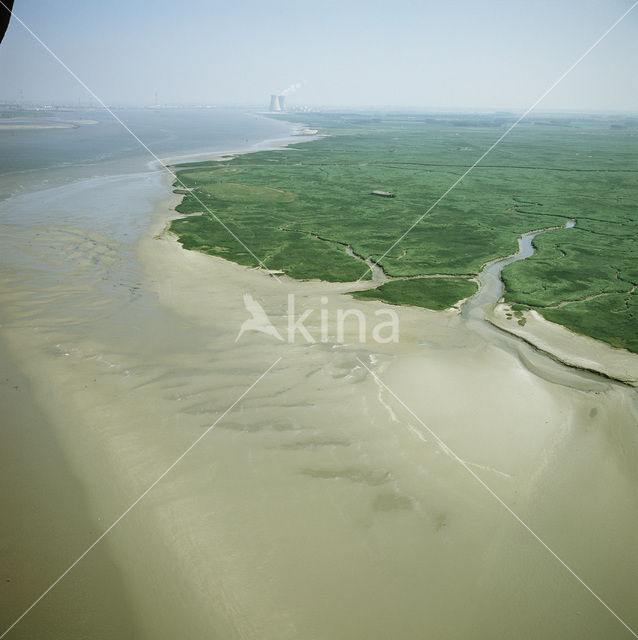 Verdronken Land van Saeftinghe