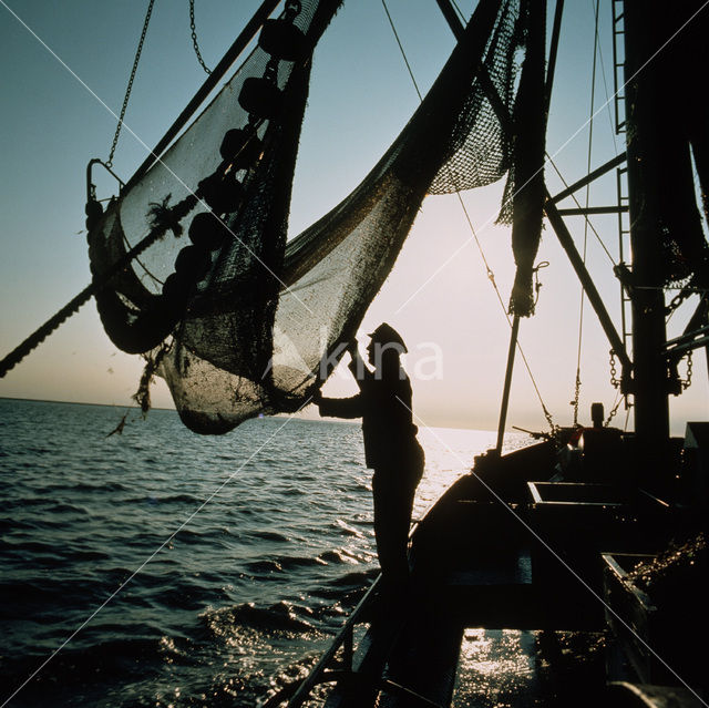 Waddensea