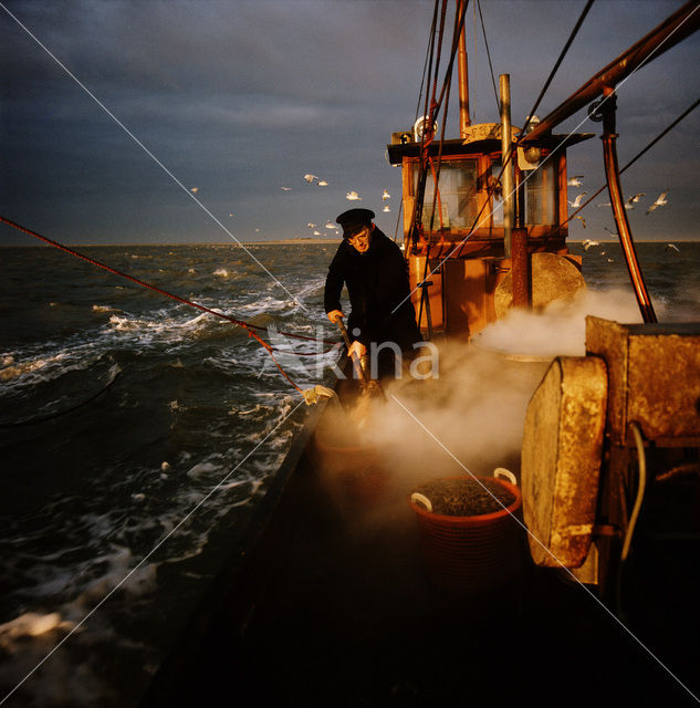 Waddensea