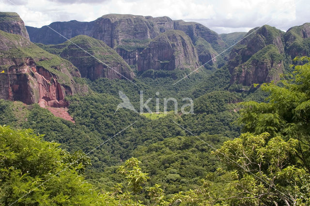 Amboro national park