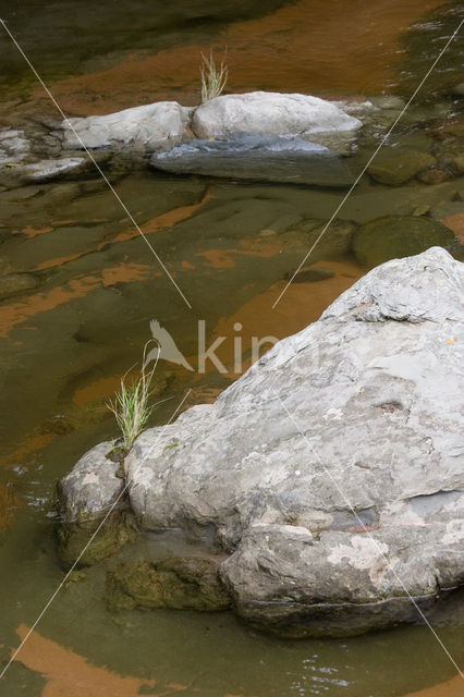 Amboro national park