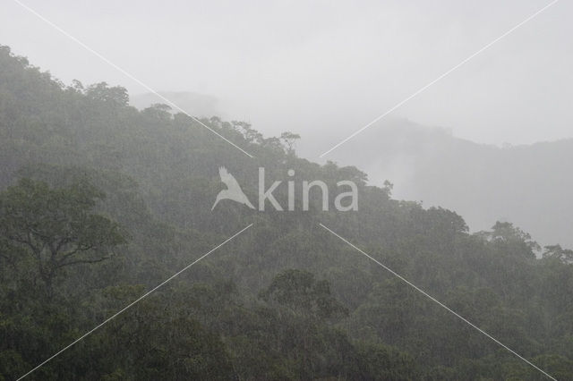 Amboro national park