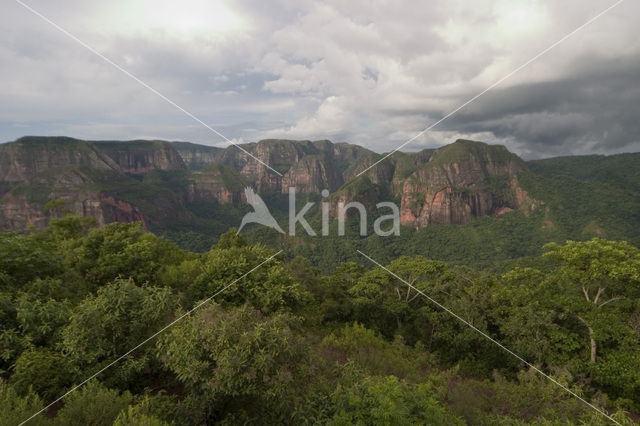 Amboro national park