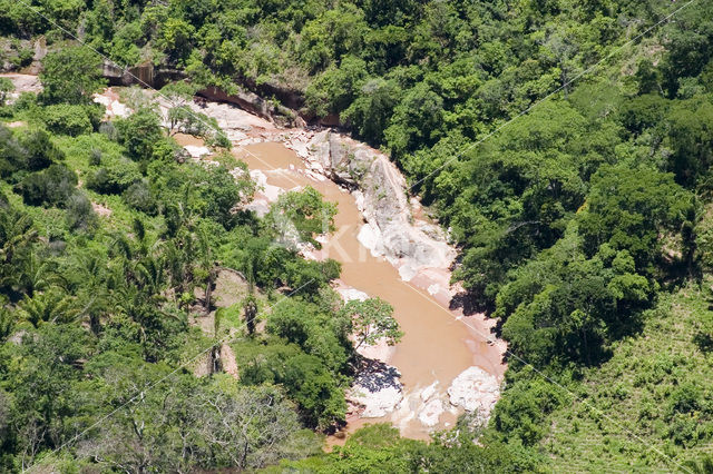 Amboro national park