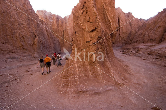 Atacama desert