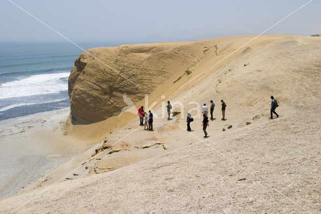 Paracas National park