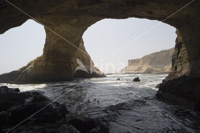 Ballestas eilanden