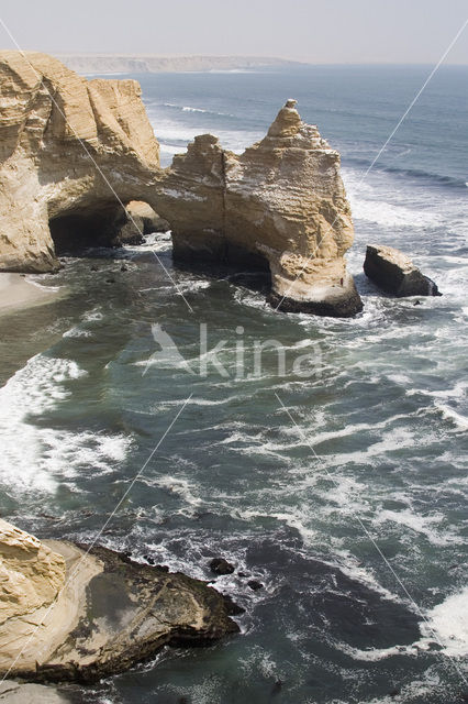 Paracas National park