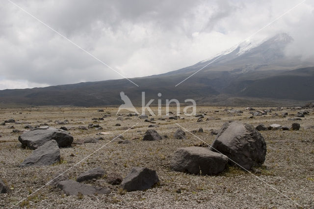 Cotopaxi volcano