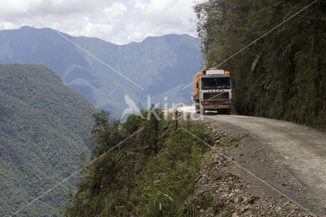 El Camino de las Yungas