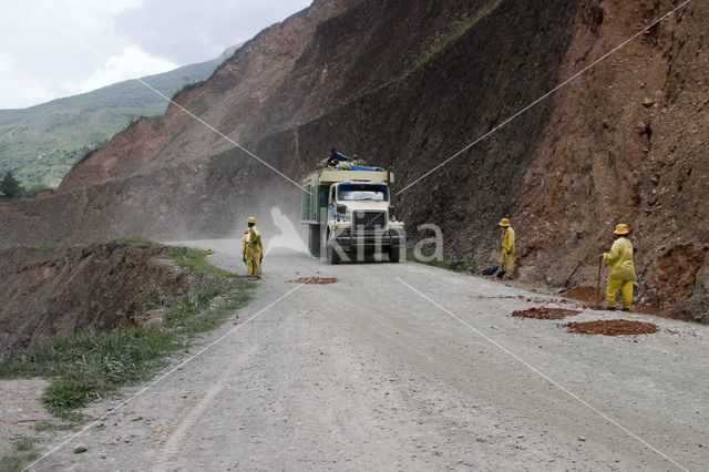 El Camino de las Yungas