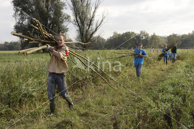 Harderbroek