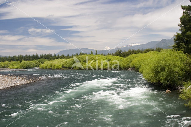 Lanin National Park