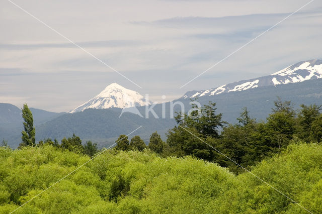 Lanin National Park