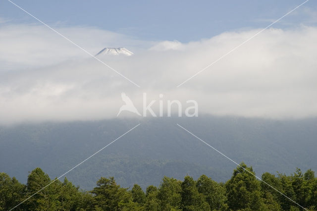 Lanin National Park