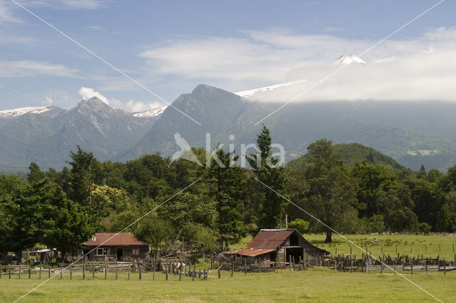 Lanin National Park