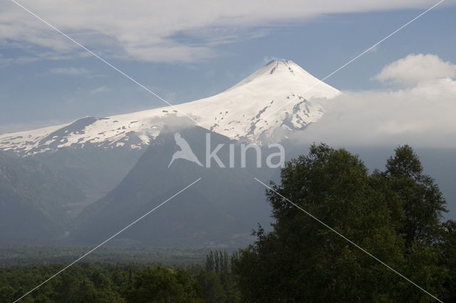 Lanin National Park