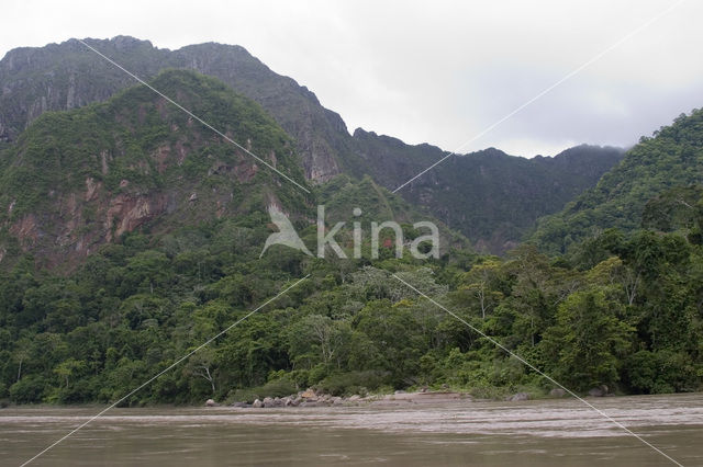 Madidi national park