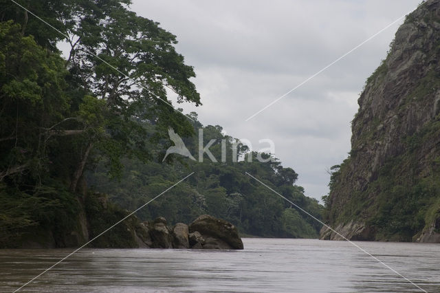 Madidi national park