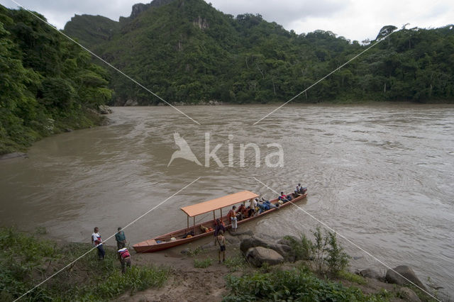 Madidi national park