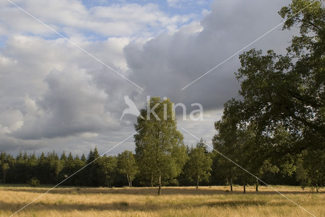 National Park De Hoge Veluwe