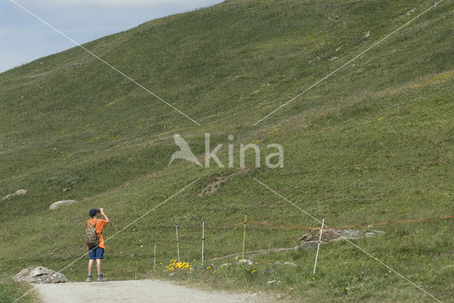 Parc National de la Vanoise