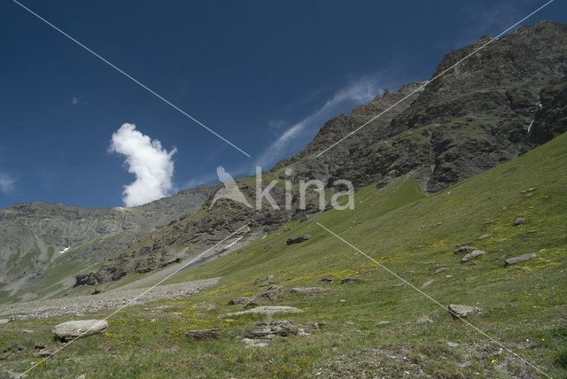 Parc National de la Vanoise