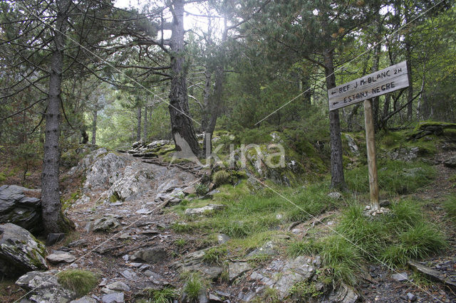 Parque Nacional dAigüestortes i Estany de Sant Maurici