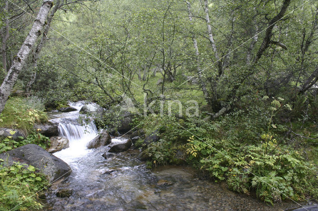 Parque Nacional dAigüestortes i Estany de Sant Maurici