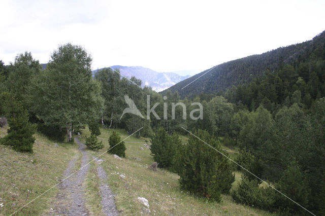 Parque Nacional dAigüestortes i Estany de Sant Maurici