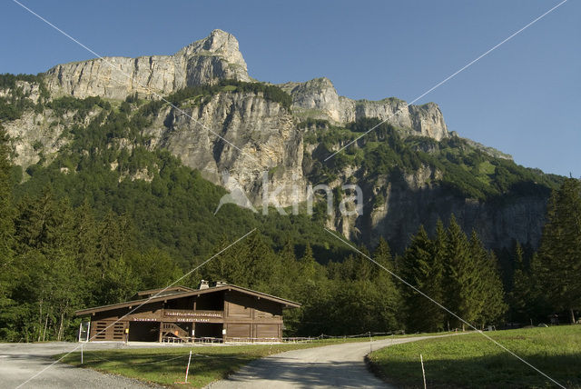 Réserve Naturelle de Sixt-Fer-à-Cheval