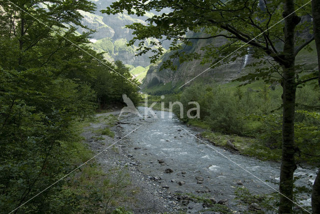 Réserve Naturelle de Sixt-Fer-à-Cheval